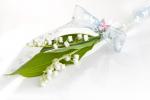 Vive le Muguet et bon 1er Mai !