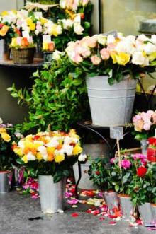 Fleuriste Mouy, Angy Fleuriste Mouy, Angy
